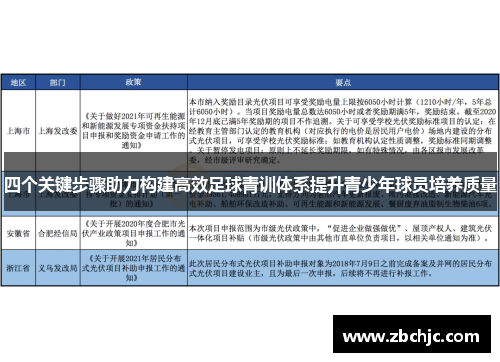 四个关键步骤助力构建高效足球青训体系提升青少年球员培养质量