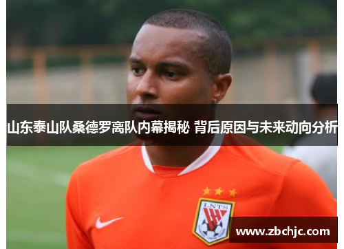 山东泰山队桑德罗离队内幕揭秘 背后原因与未来动向分析 山东泰山队桑德罗离队内幕揭秘 背后原因与未来动向分析