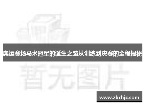 奥运赛场马术冠军的诞生之路从训练到决赛的全程揭秘