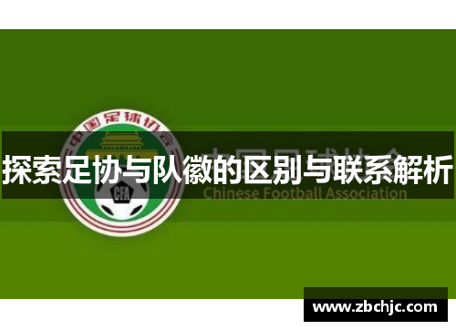 探索足协与队徽的区别与联系解析